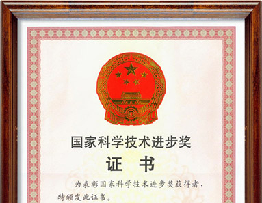 国家科学技术进步奖证书